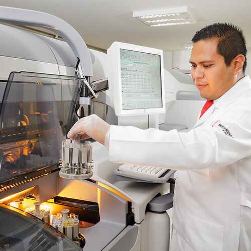 FRUCTUOSA DE SEMEN FRUCTUOSA DE SEMEN